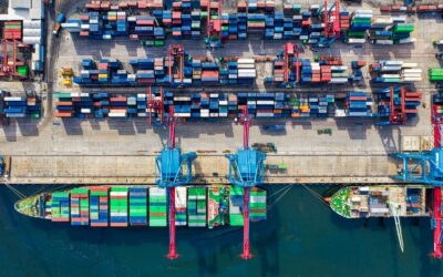 Warehouse team preparing consolidated orders from Yiwu market for international container shipment